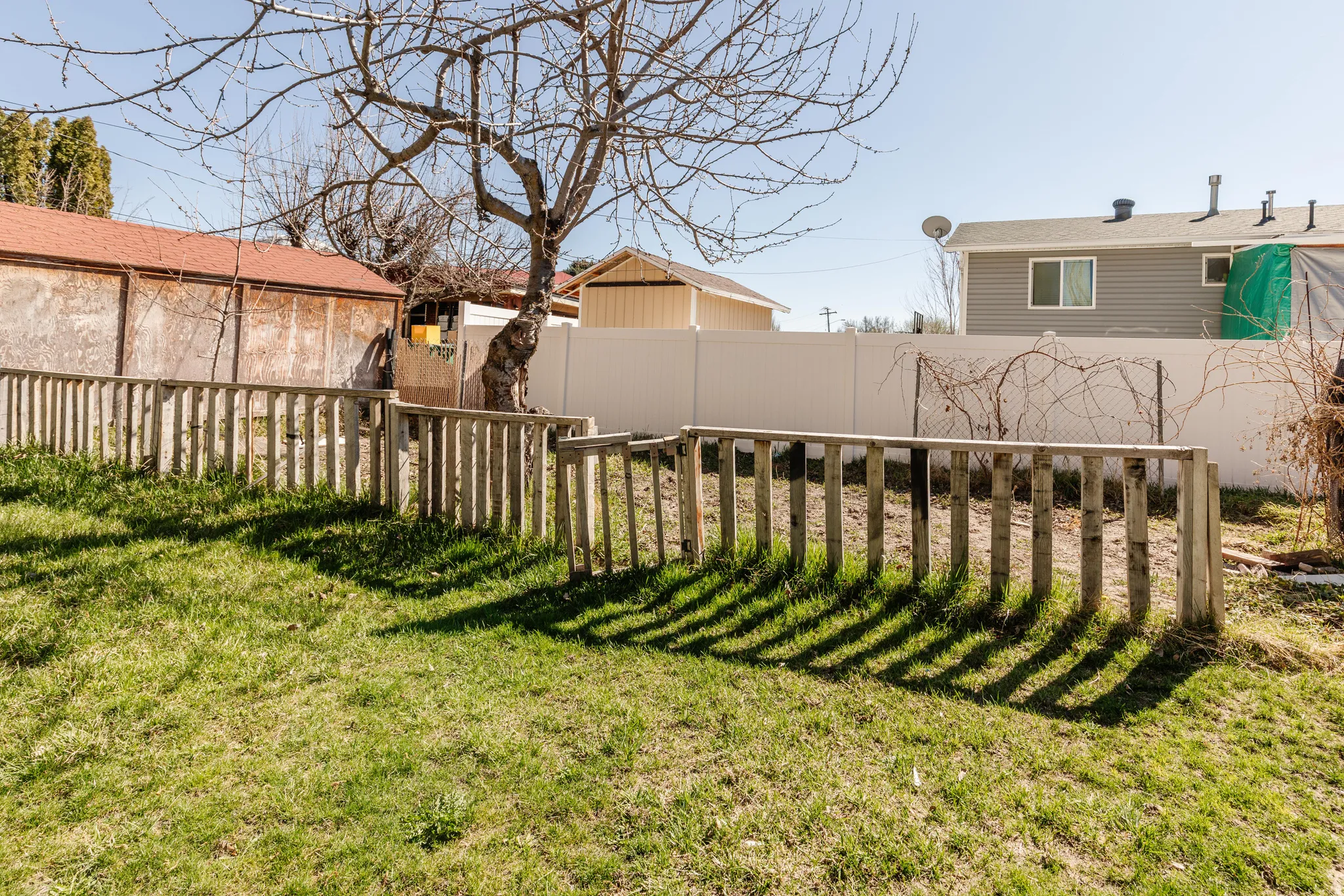 View of fenced backyard