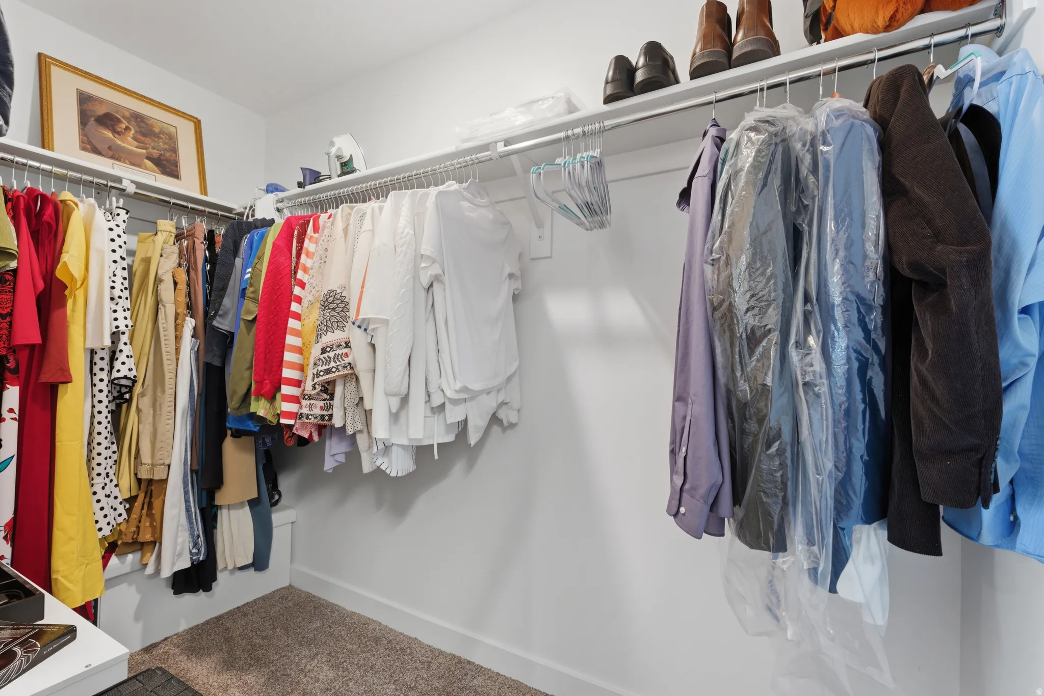 Walk in closet with carpet flooring