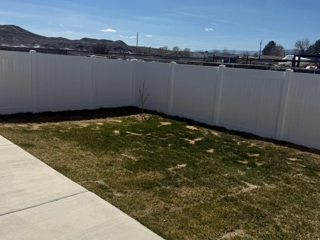 View of fenced backyard