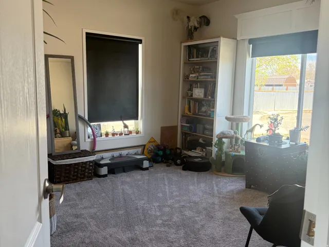 704 E Pine St, Wellington, Utah 84542