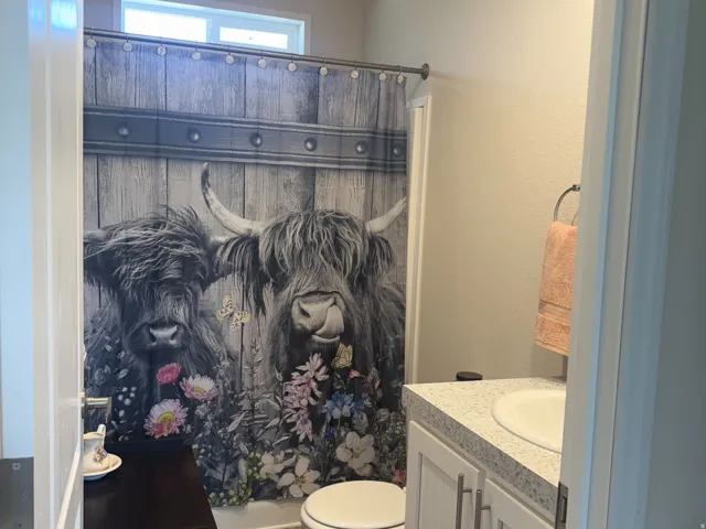 2nd bath - Full bath featuring vanity, dark wood finished floors, and a shower with curtain