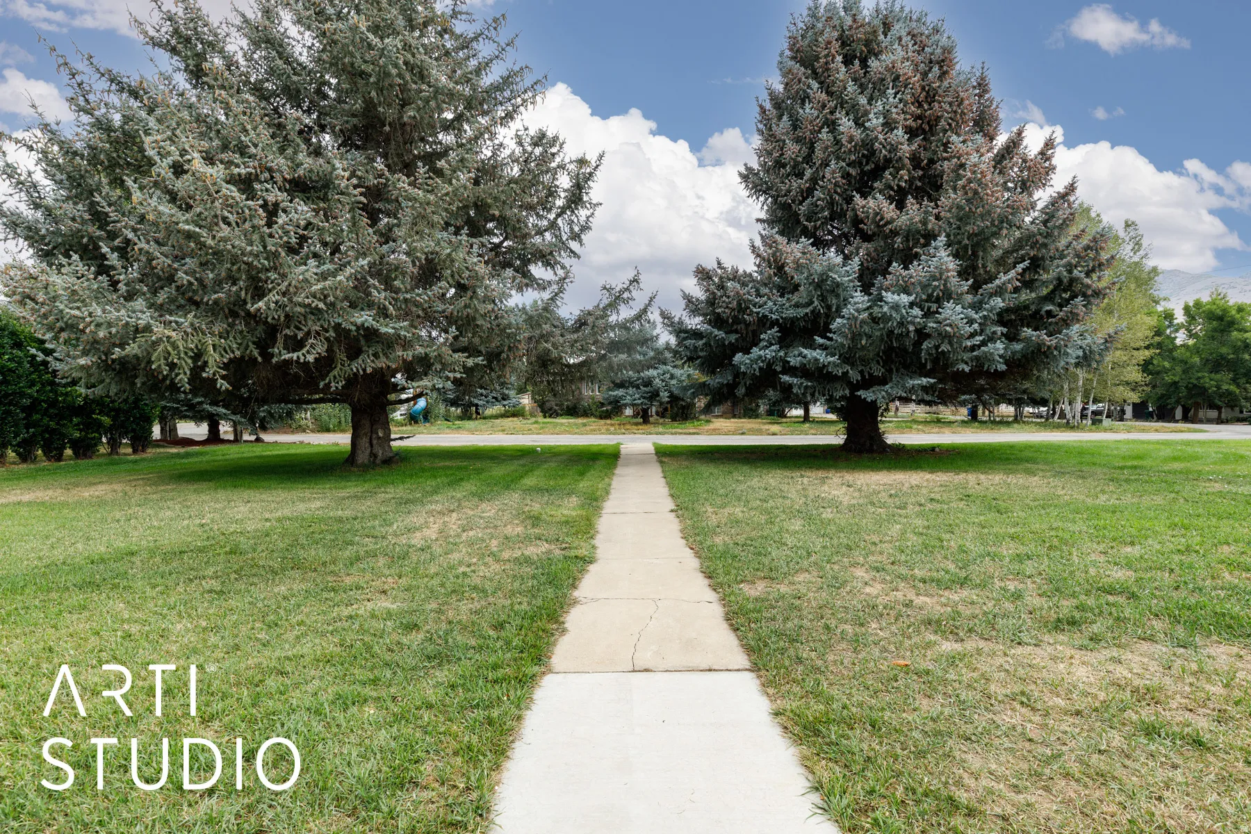 View of grassy yard.