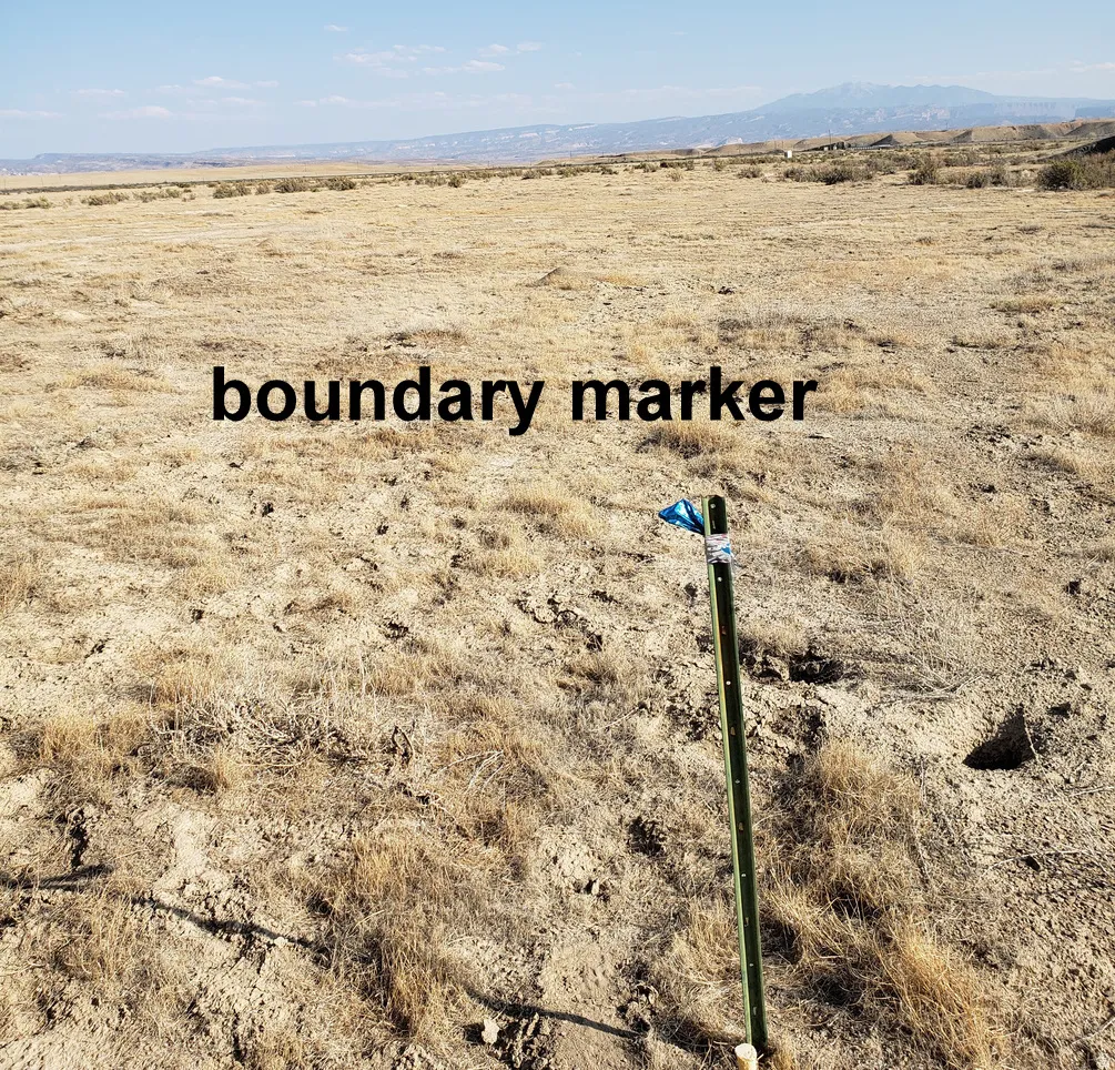 20 ac. with boundary markers.
