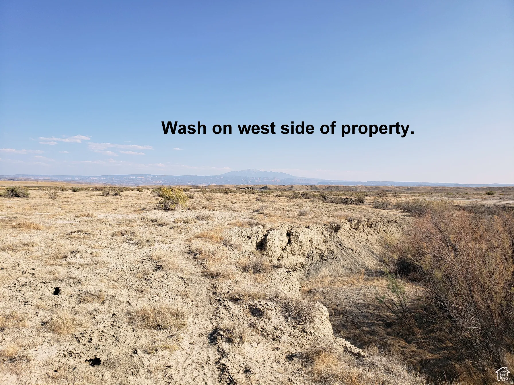 Wild life comes and drinks from this wash.