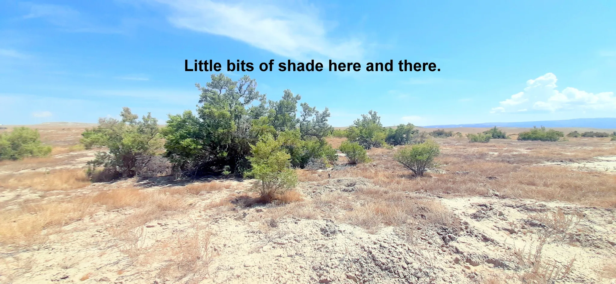 View of local wilderness with rural landscape