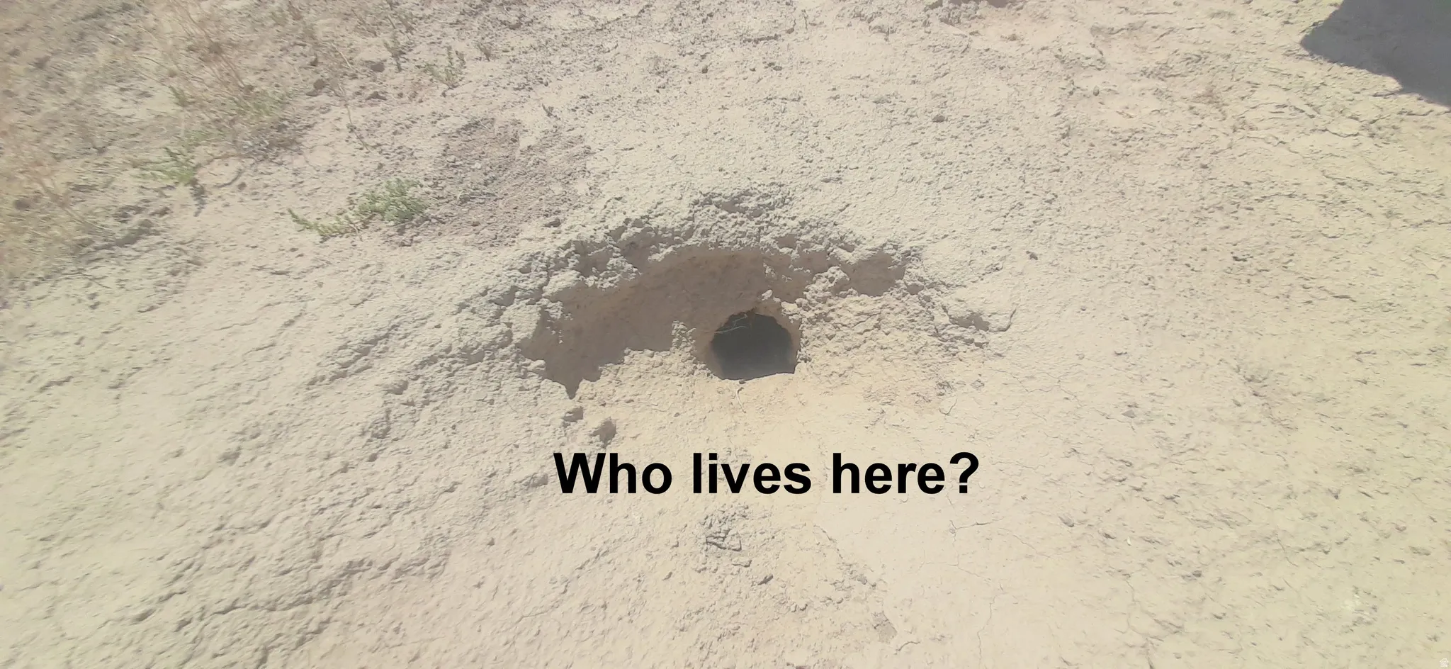 Your nearest neighbor.