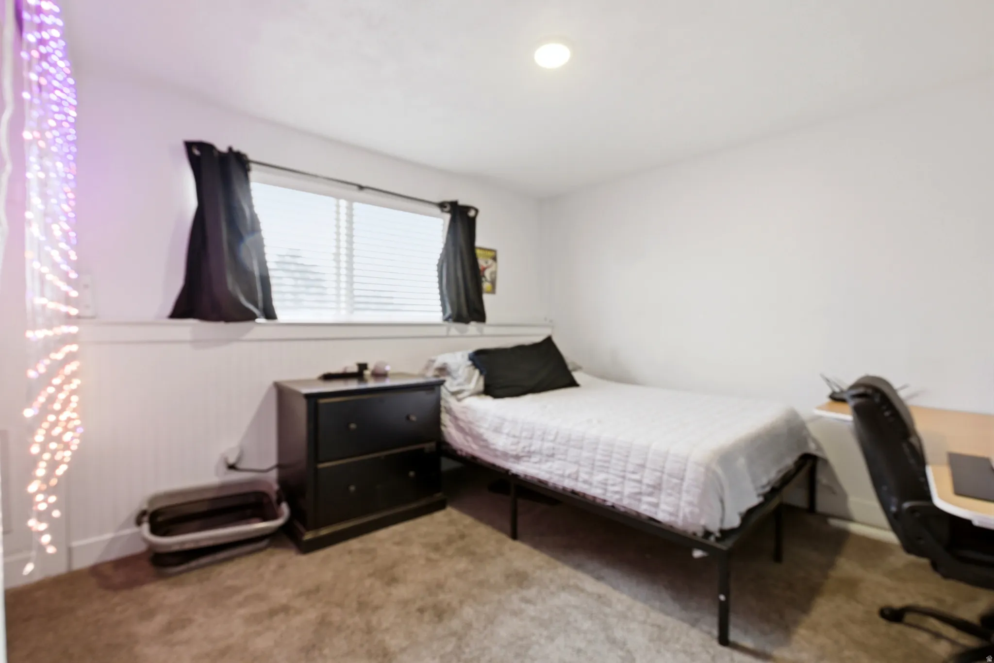 Lower level "flex" bedroom.