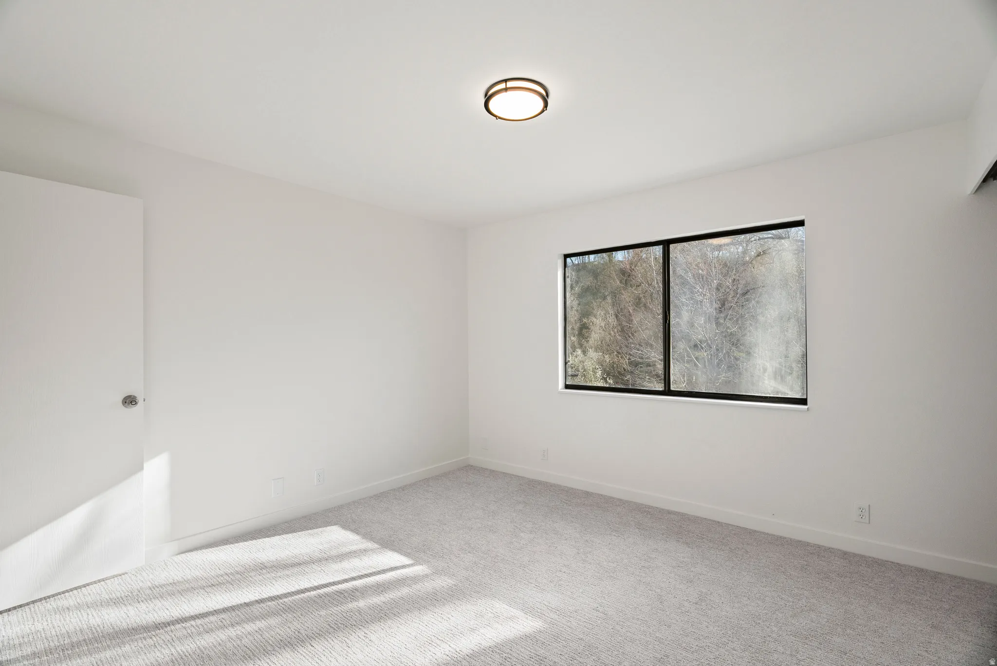 Bedroom featuring brand new carpet