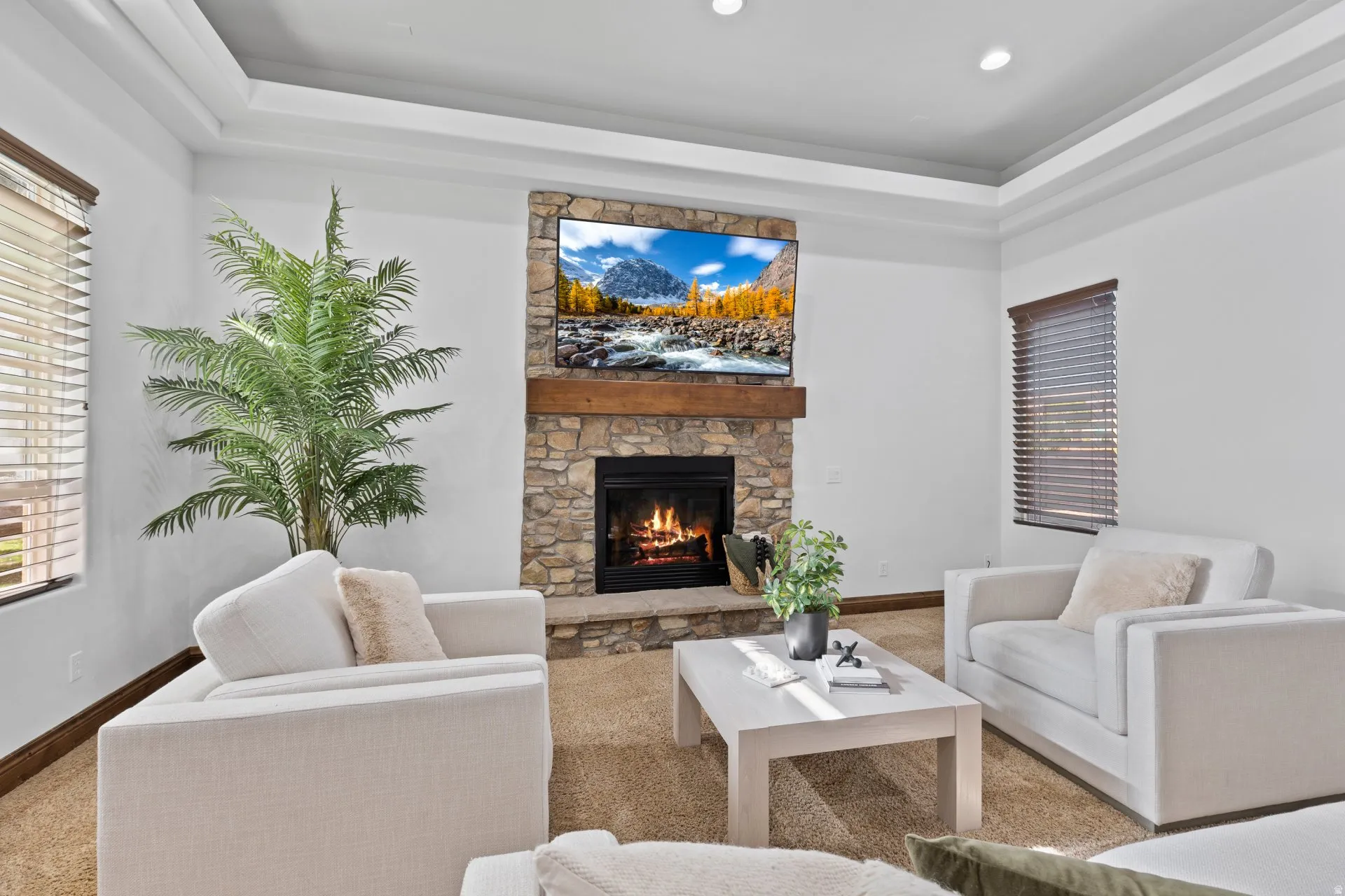Living area with a raised ceiling, carpet floors, and a stone fireplace