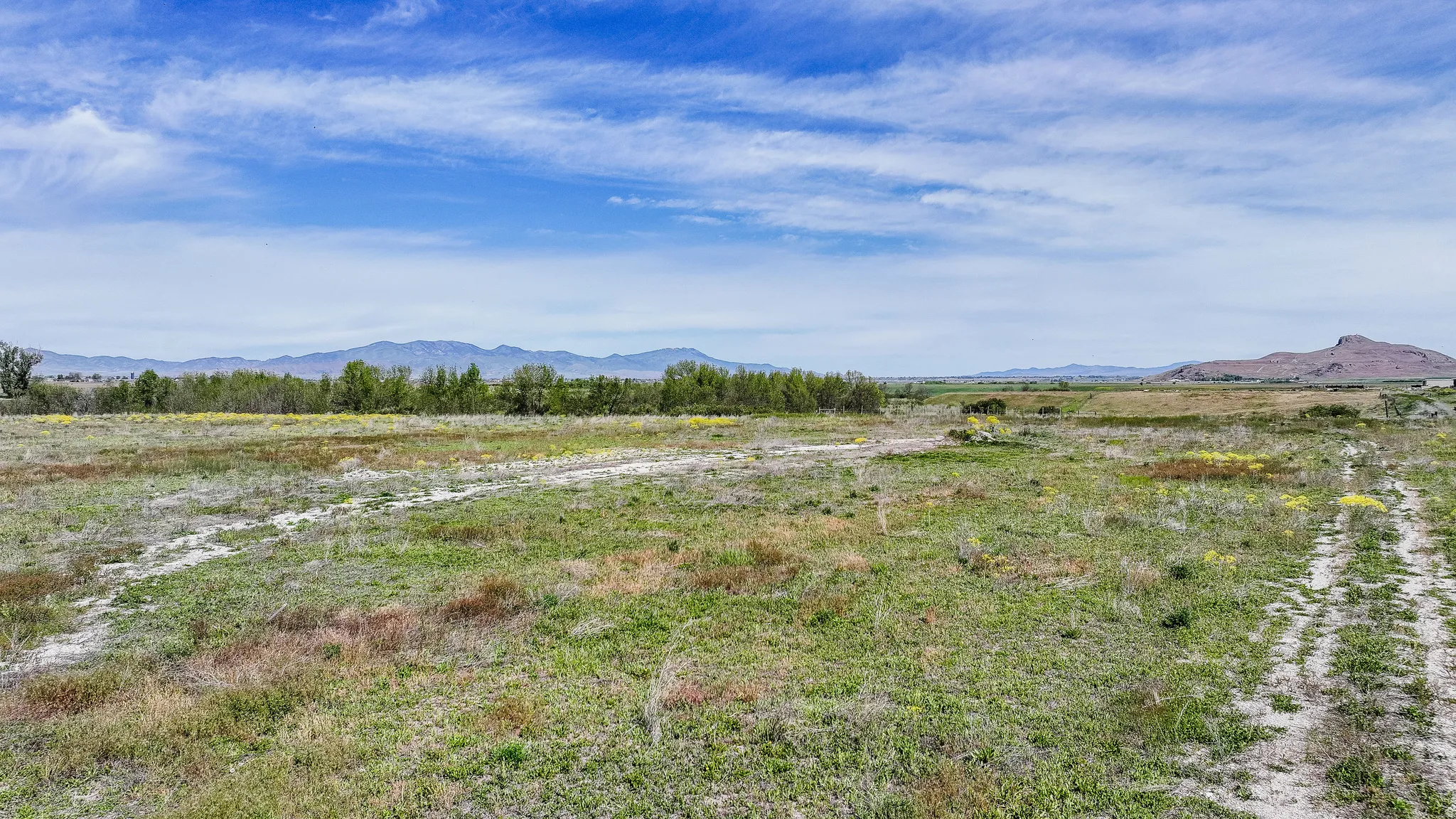 Expansive open land featuring natural grasses and scattered flora