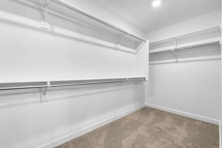 Walk in closet featuring carpet flooring
