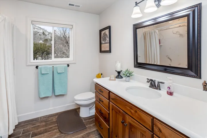 Full bathroom featuring vanity, wood tiled floors, and curtained shower
