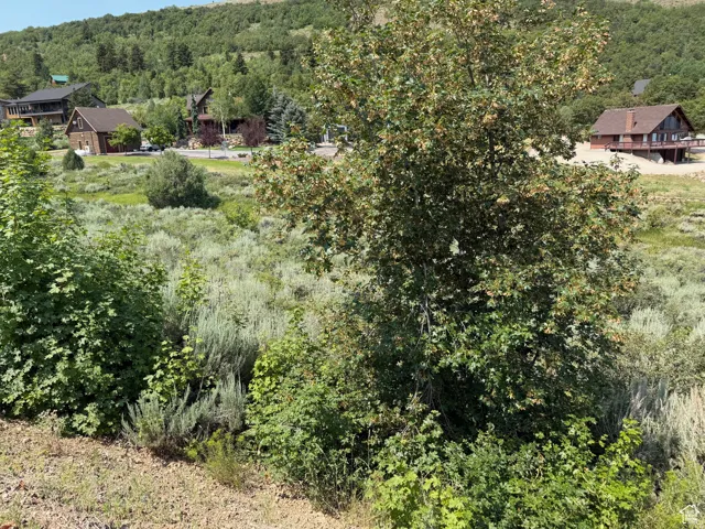 Bird's eye view of a heavily wooded area