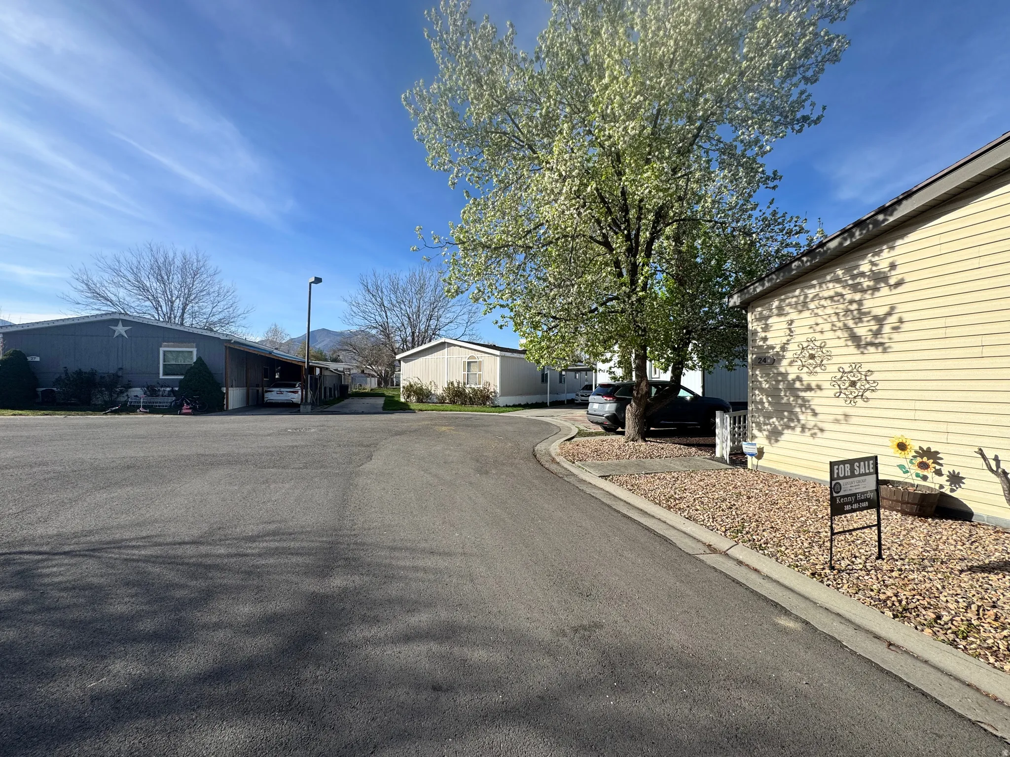 View of asphalt street featuring a residential view, curbs, and street lights