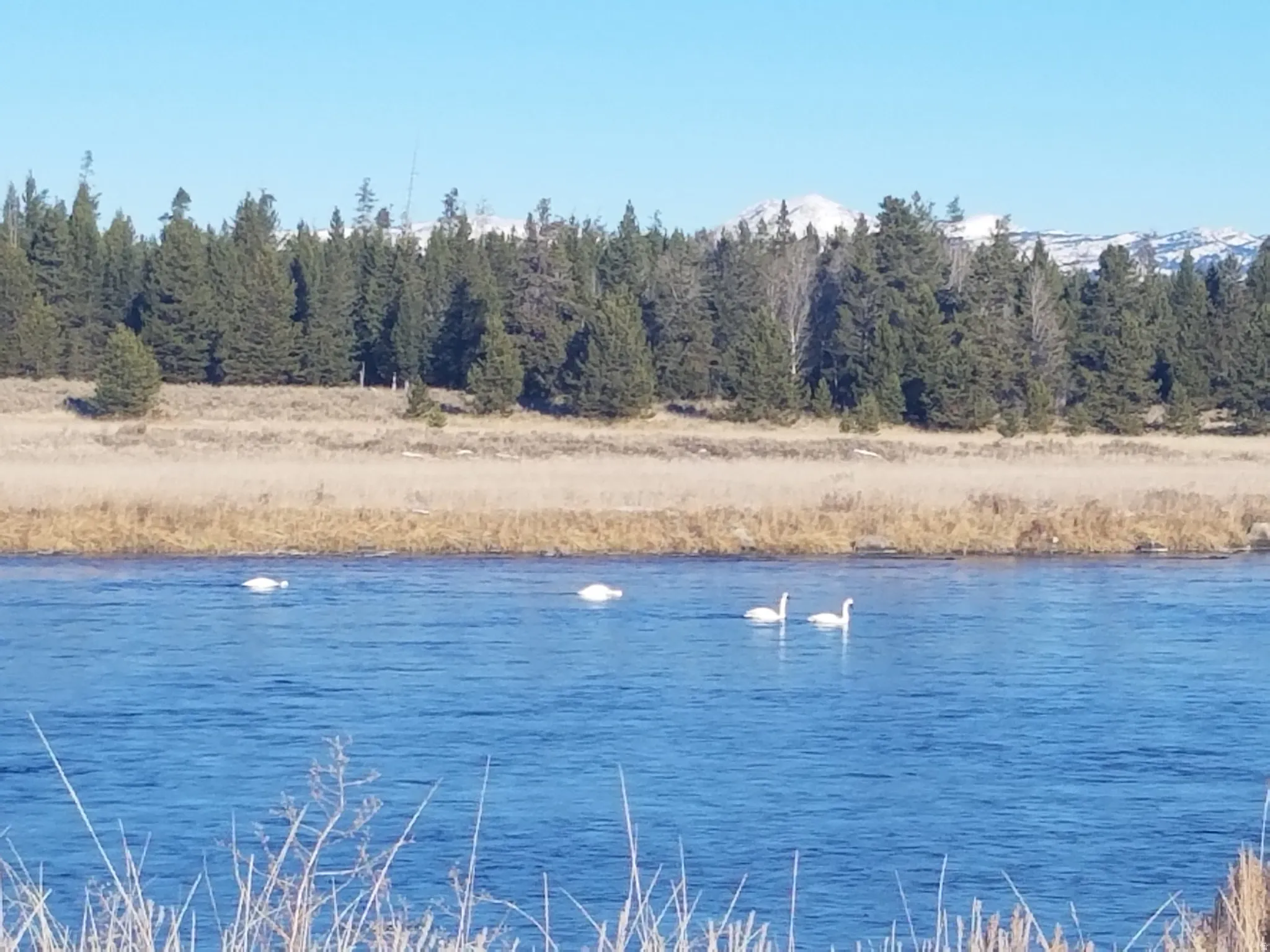 Water view