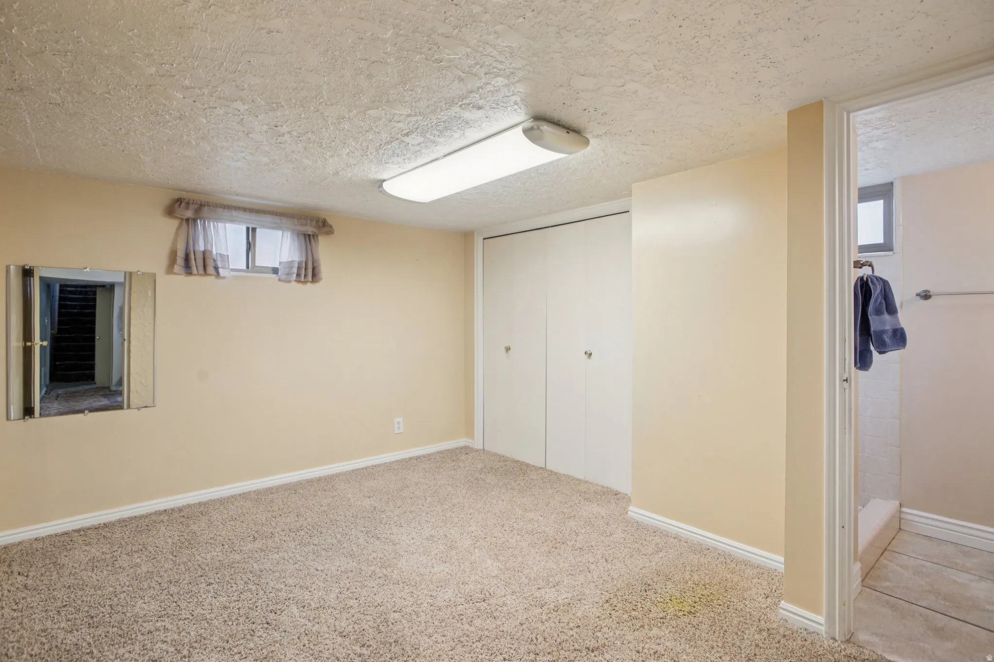 Below grade area with a textured ceiling and light colored carpet