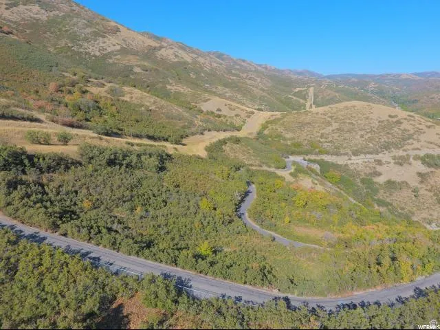 Drone / aerial view of a mountain backdrop and a heavily wooded area