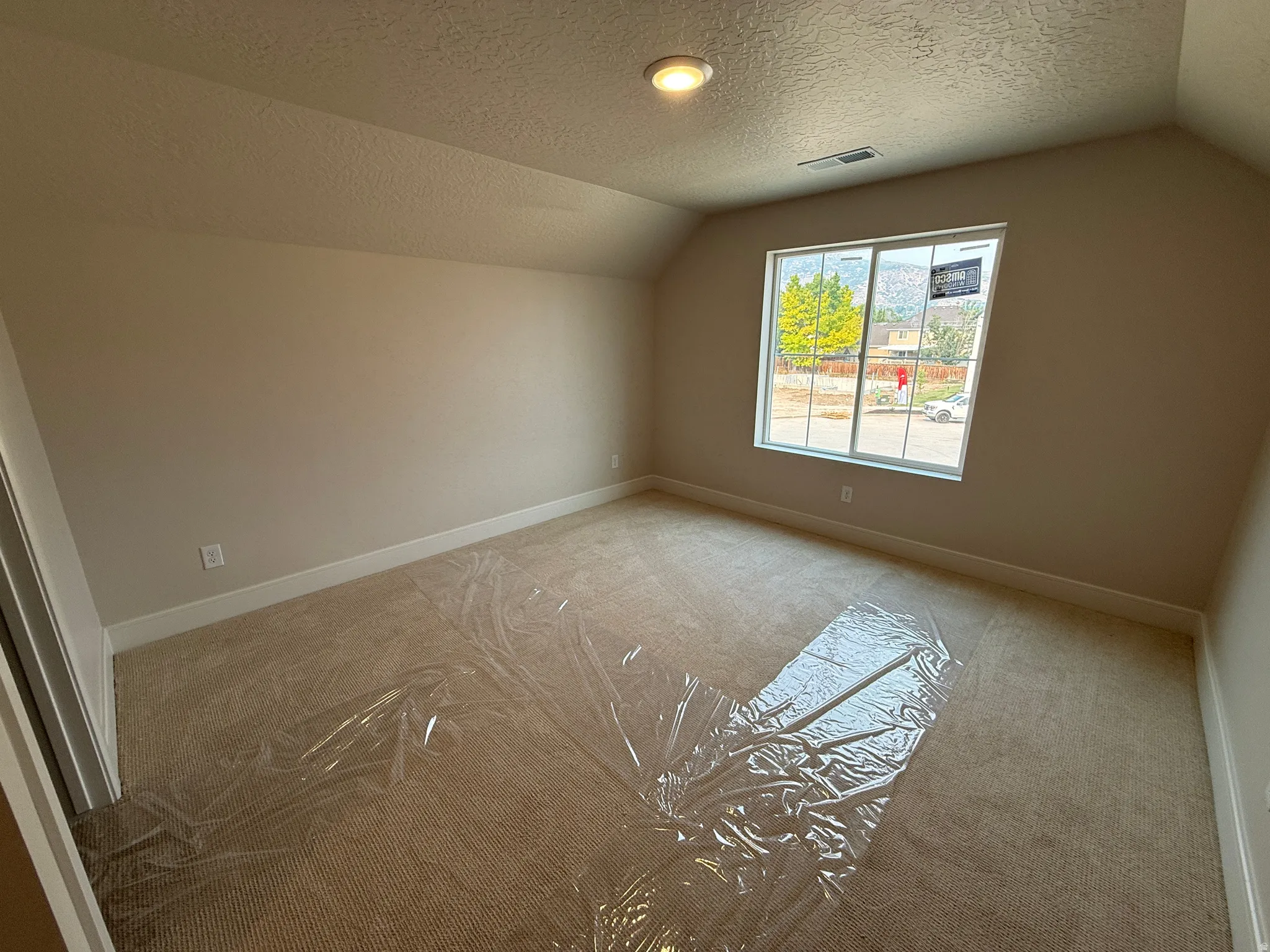 Carpeted interior room with a large window, a single ceiling light fixture, and light-toned walls