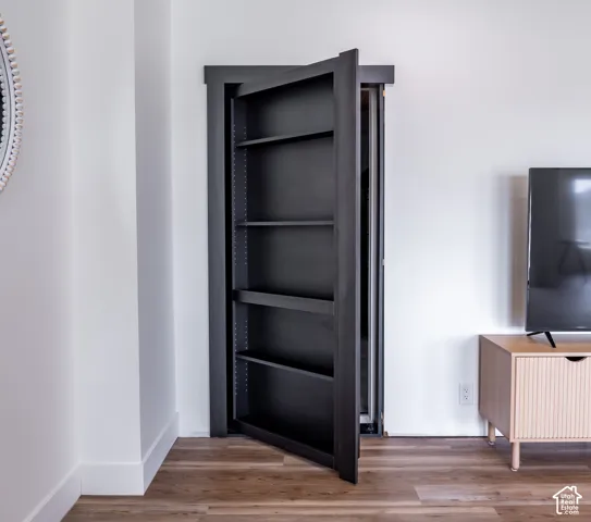Hidden murphy door to storage room