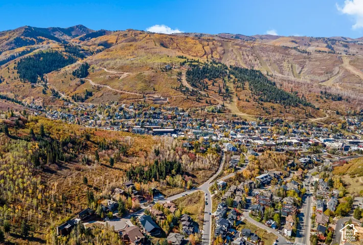 Aerial perspective featuring mountainous topography, dense forest terrain, and an established residential community