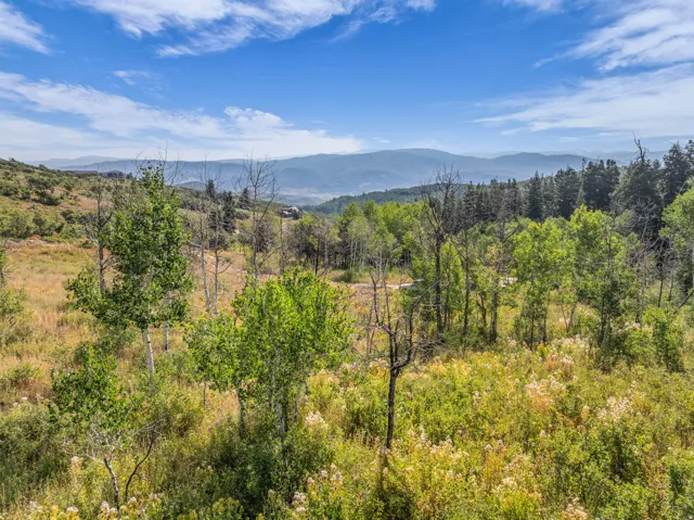 2412 S Bull Moose Dr, Coalville, Utah 84017