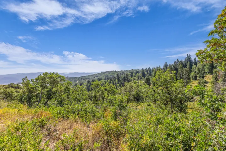 2412 S Bull Moose Dr, Coalville, Utah 84017
