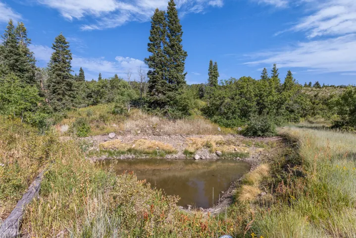 2412 S Bull Moose Dr, Coalville, Utah 84017