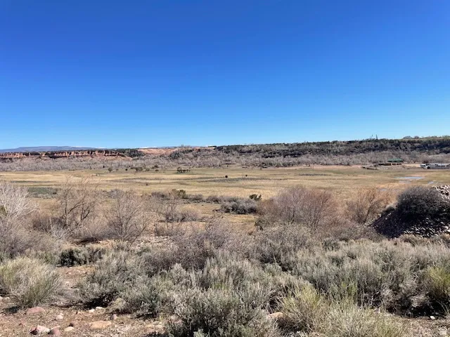 View of local wilderness with rural landscape