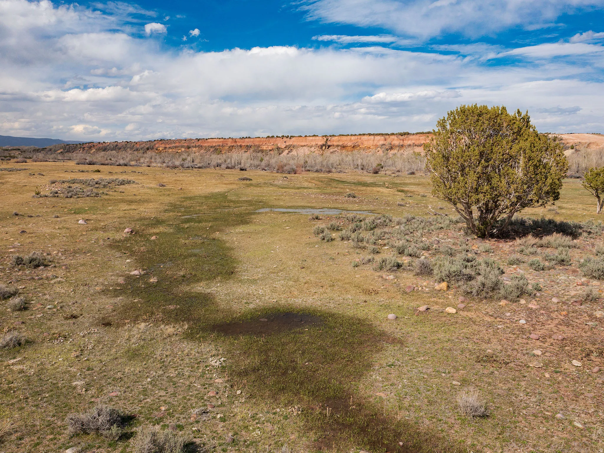 View of local wilderness featuring rural landscape