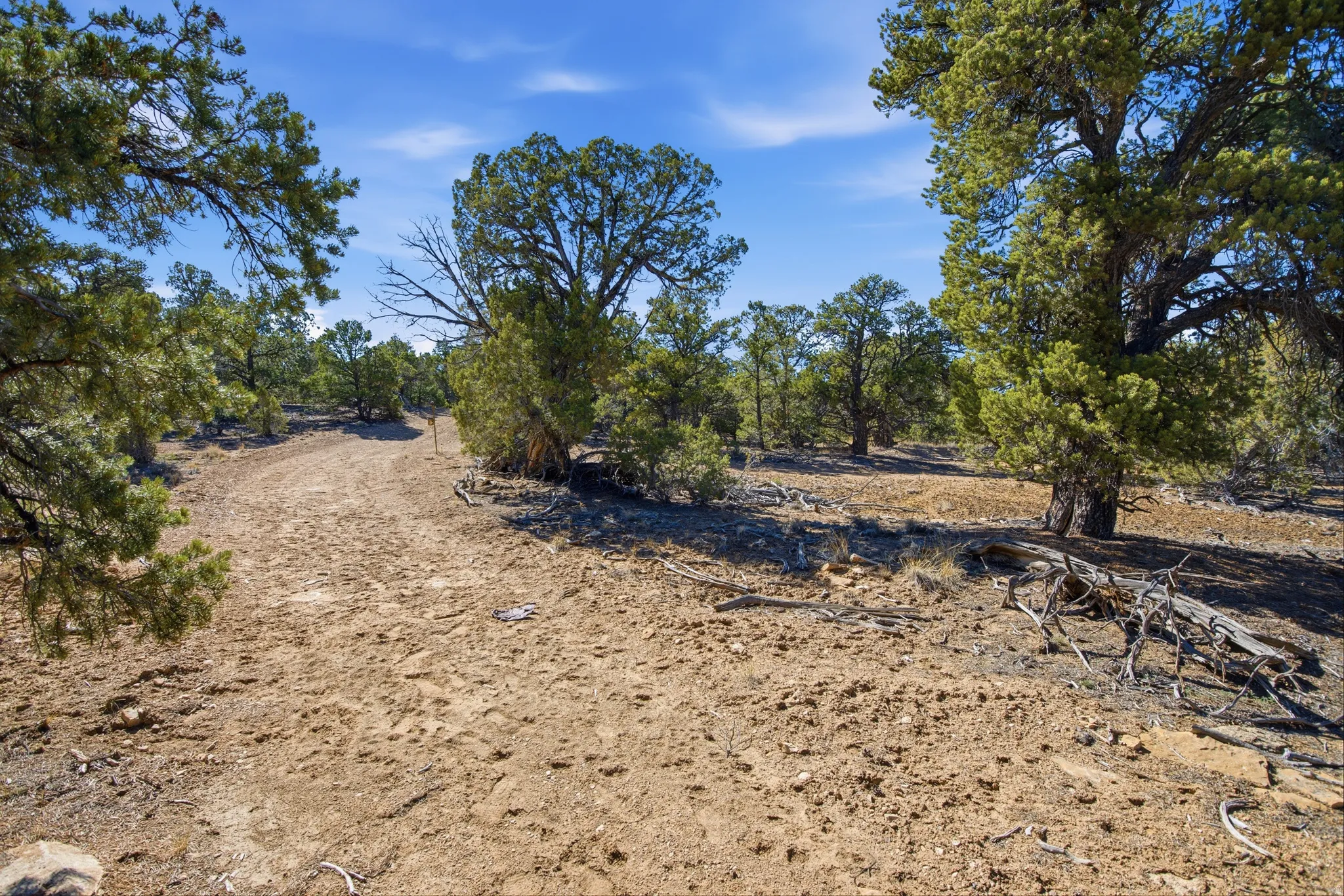 View of undeveloped land