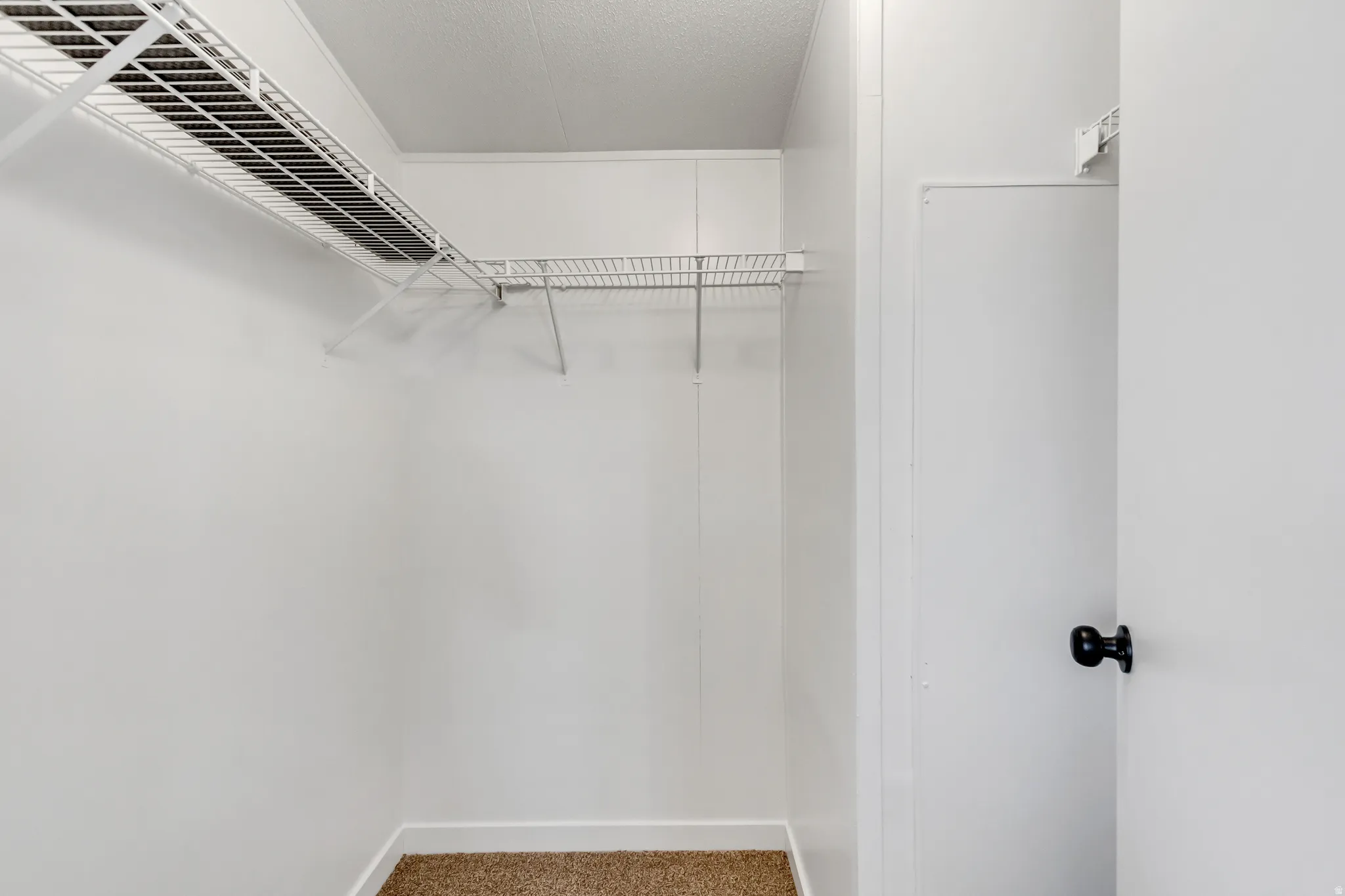 Walk in closet with carpet flooring