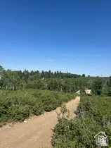 View of local wilderness with rural landscape
