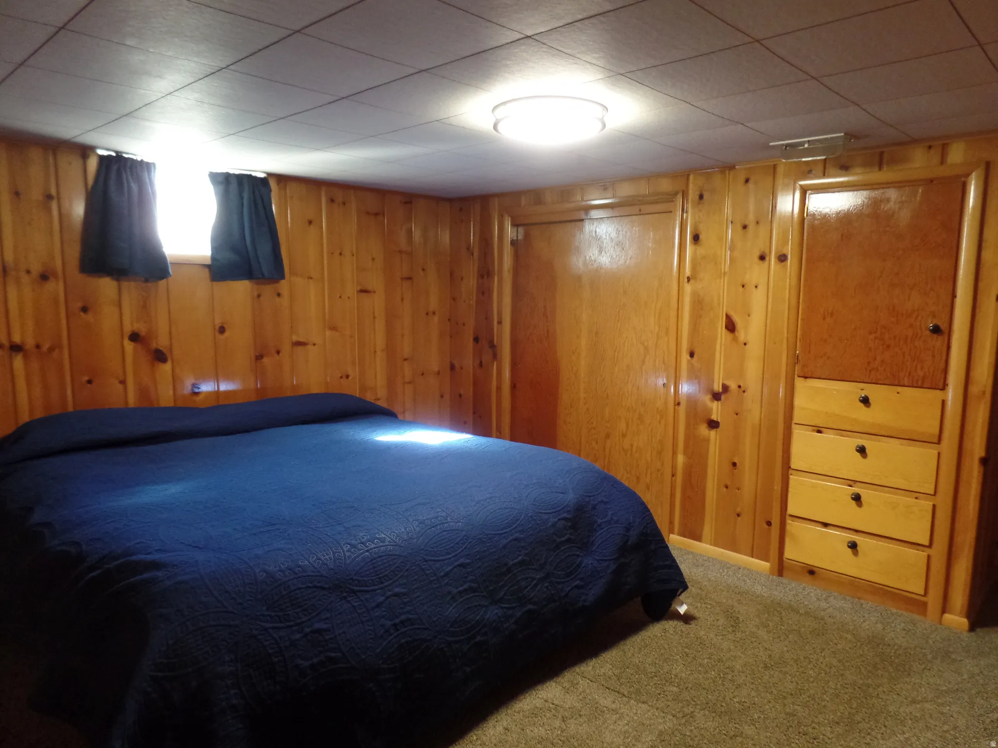 Carpeted bedroom featuring a closet, built-in drawers and cabinet, and wood walls