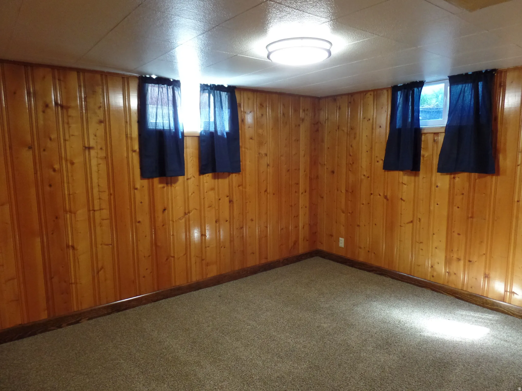 Below grade area featuring carpet flooring and wooden walls