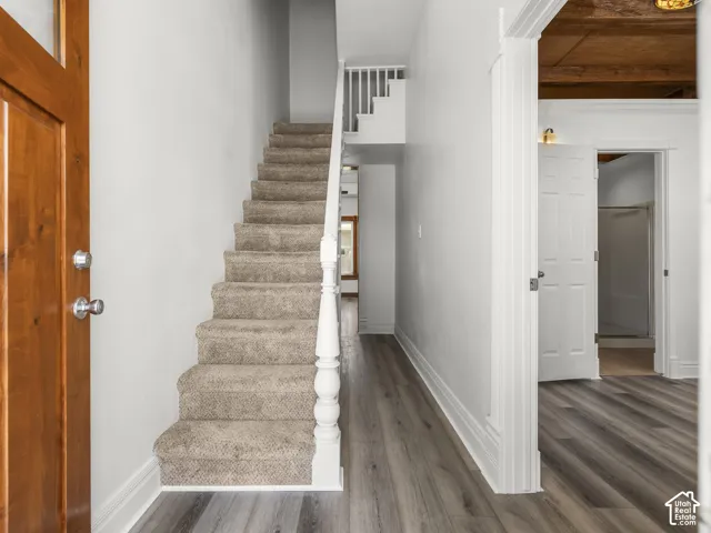 Entryway featuring a wood door with glass paneling, a carpeted staircase with white balusters, and wood-finish flooring