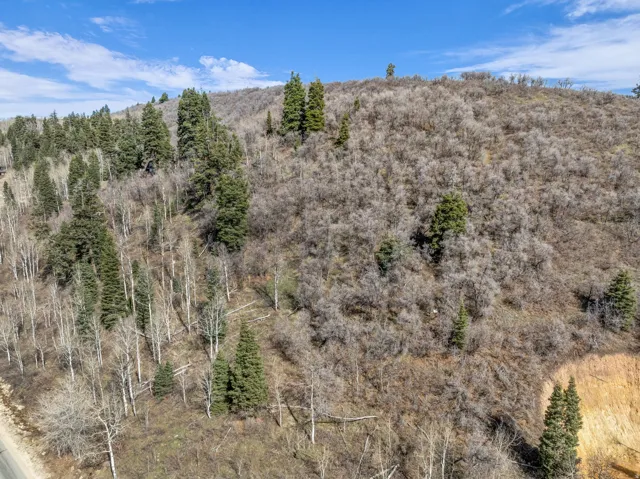 Mountain view with a heavily wooded area