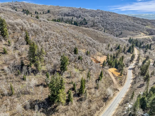 Drone / aerial view of a mountainous background
