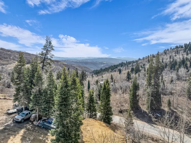 View of mountain background featuring a heavily wooded area
