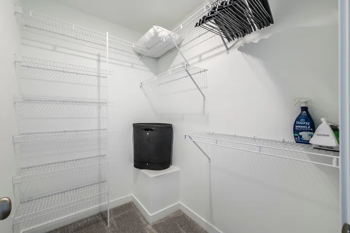Walk in closet with dark carpet