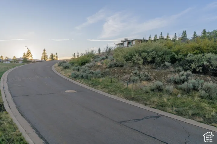 View of asphalt street with curbs