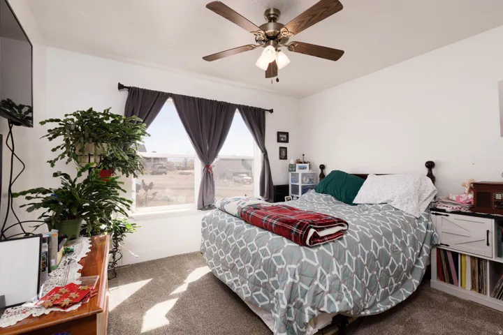 Carpeted bedroom featuring ceiling fan