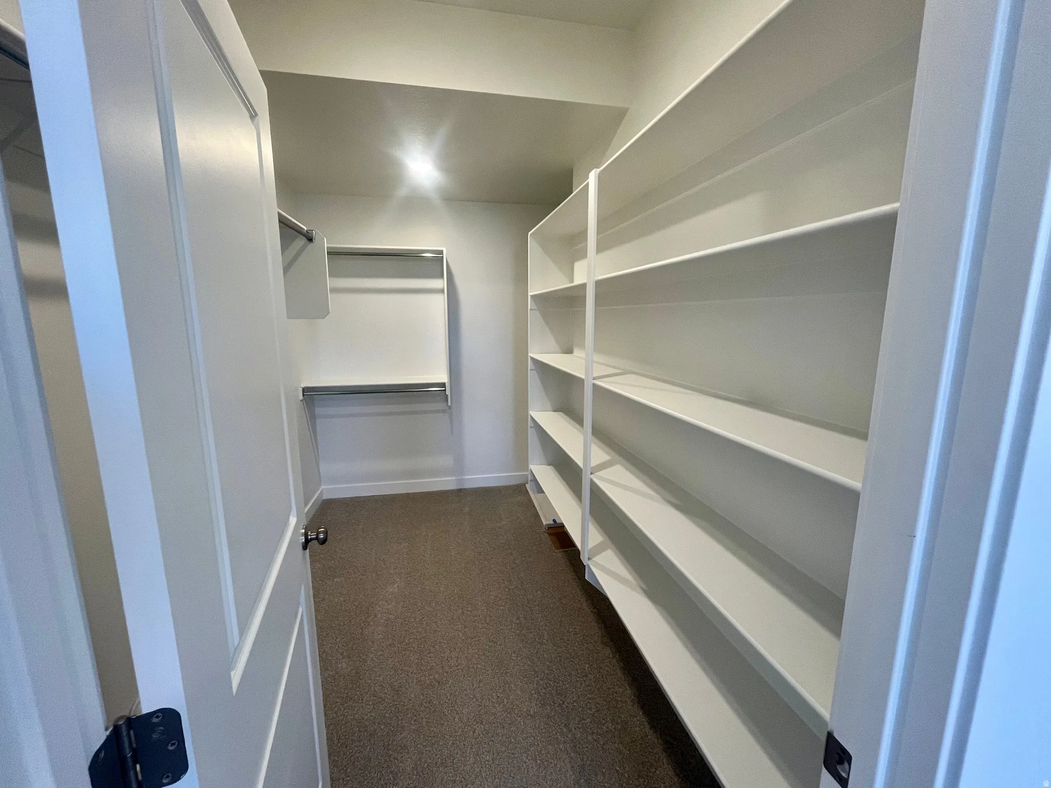 Walk in closet featuring dark colored carpet