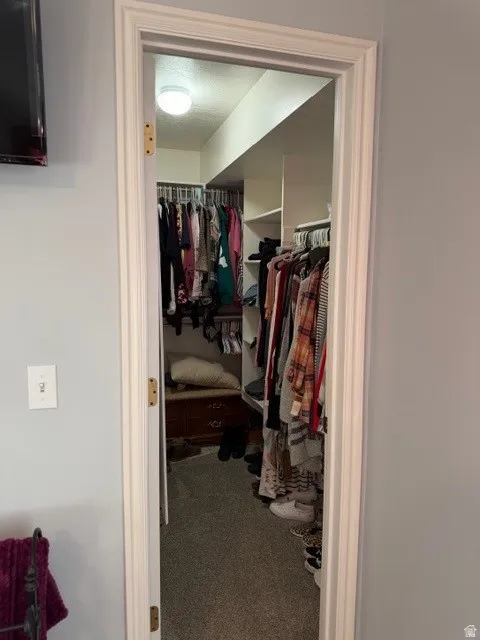 Walk in closet featuring carpet flooring