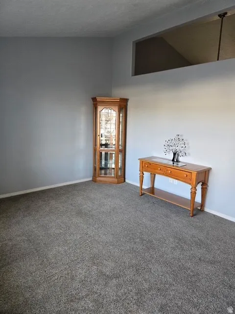 Empty room with dark colored carpet and baseboards