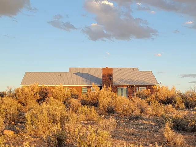 Rear view of property featuring a metal roof and a chimney