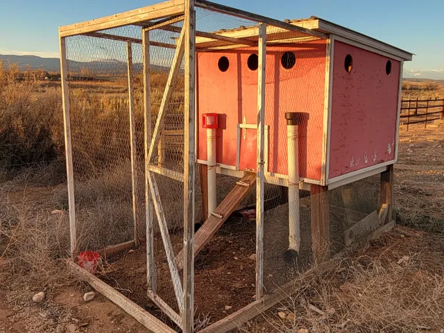 View of chicken coop