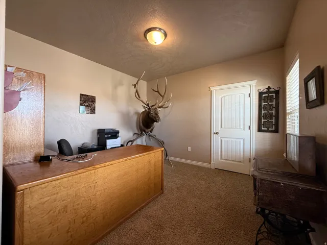 Office space featuring carpet and baseboards