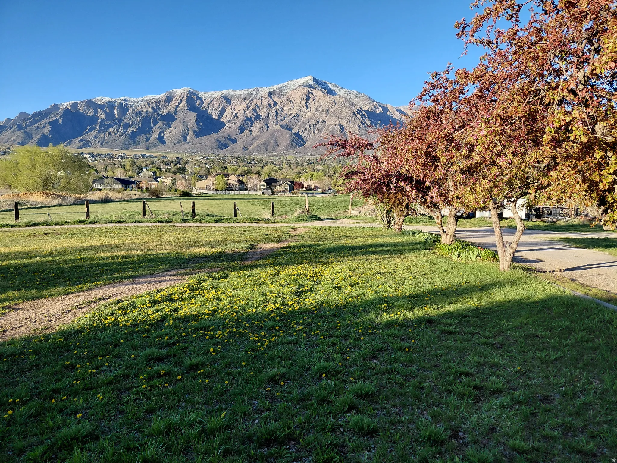 Mountain view across North 3.55 acres to Casey Lane