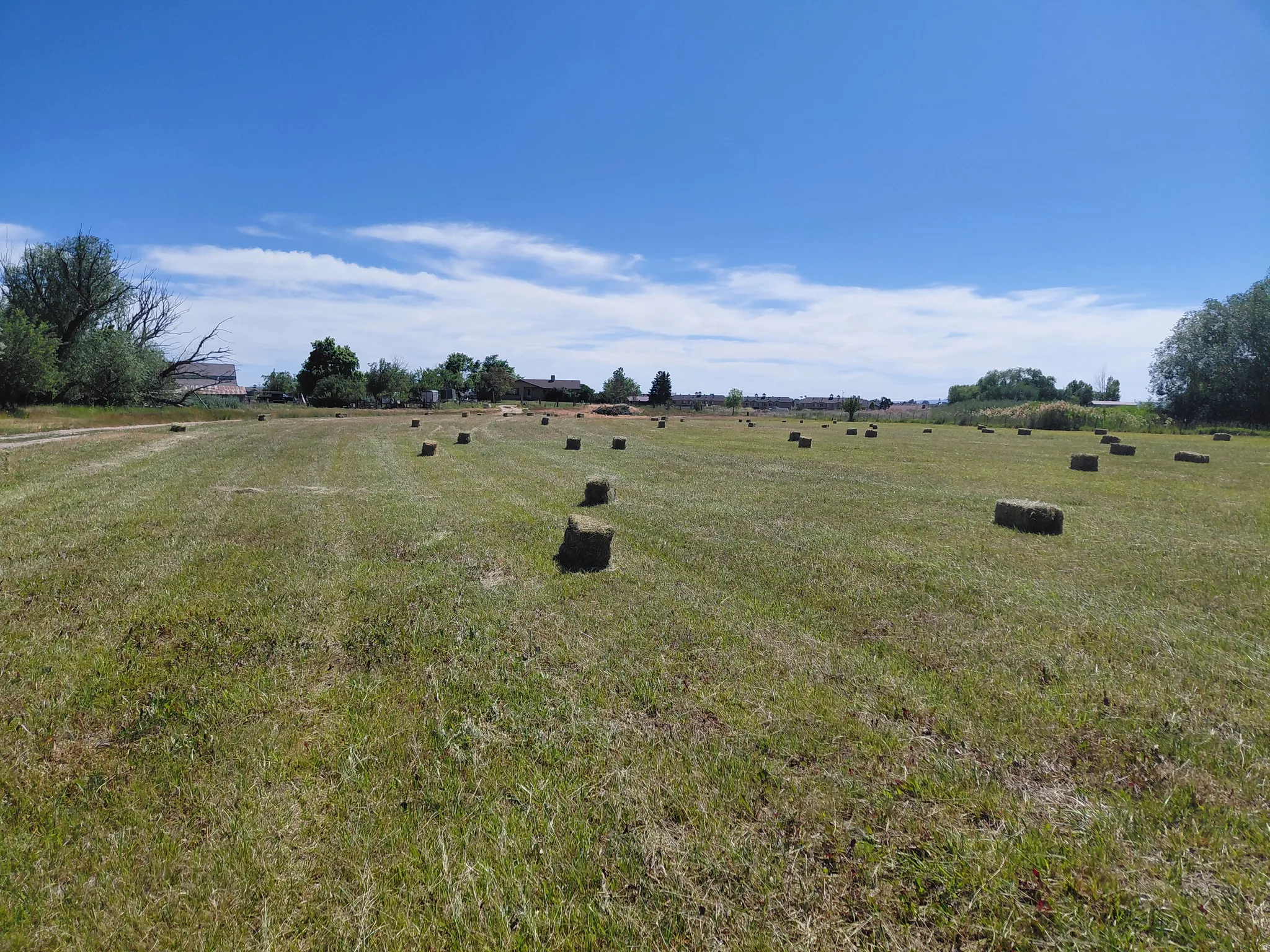 Expansive green field with natural surroundings, first cut of field hay yielded 70 bales
