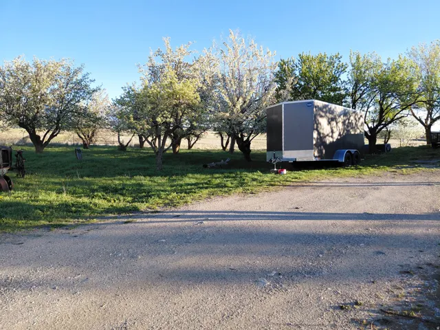 View of yard full of fruit trees
